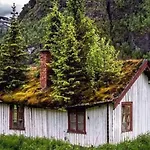 Hytte Koselig I With Outdoor Sauna
