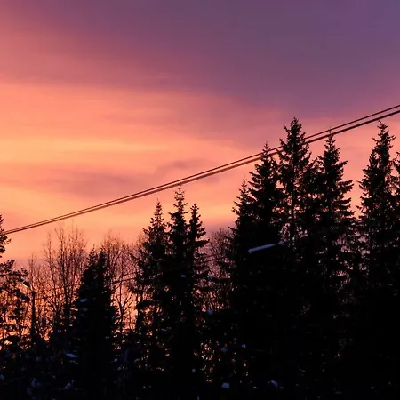 Alojamento de Turismo Selvagem Koselig I With Outdoor Sauna Hemsedal