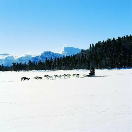 Koselig I With Outdoor Sauna Alojamento de Turismo Selvagem *