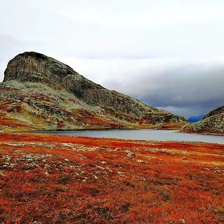 Alojamento de Turismo Selvagem Koselig I With Outdoor Sauna