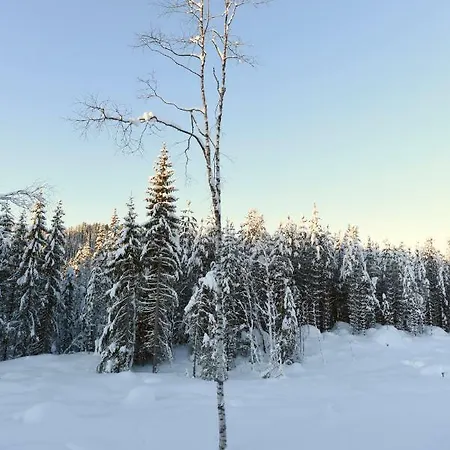 Lodge Koselig I With Outdoor Sauna