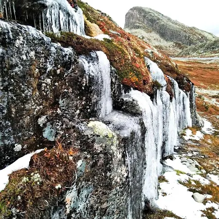 Koselig I With Outdoor Sauna Jaktstuga *
