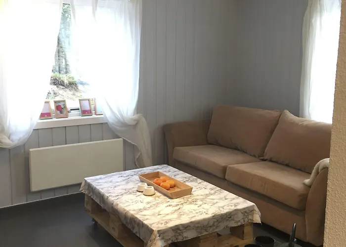 Koselig I With Outdoor Sauna Lodge Hemsedal