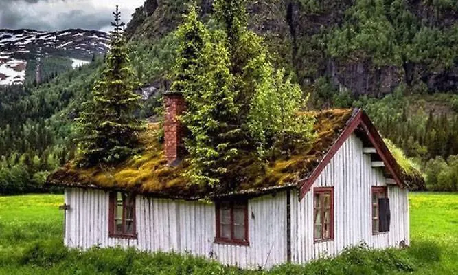 Lodge Koselig I With Outdoor Sauna