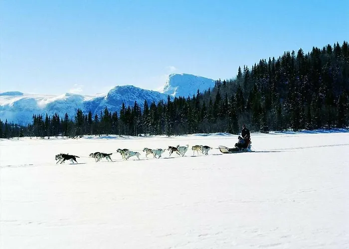 Koselig I With Outdoor Sauna ロッジ *