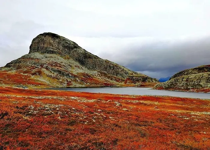 ロッジ Koselig I With Outdoor Sauna