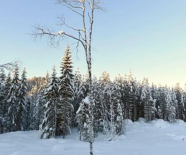 Lodge Koselig I With Outdoor Sauna